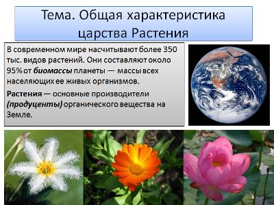 первый слайд